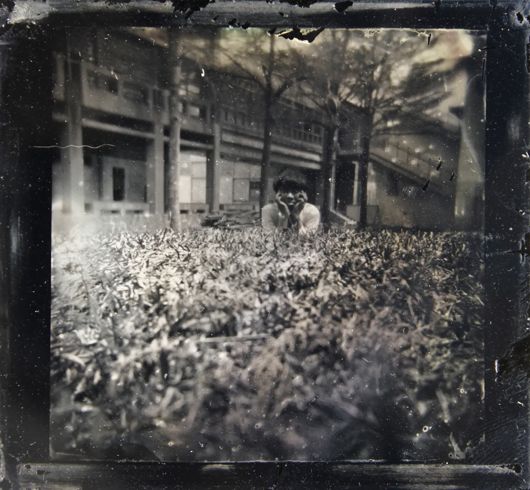 Wet plate Collodion